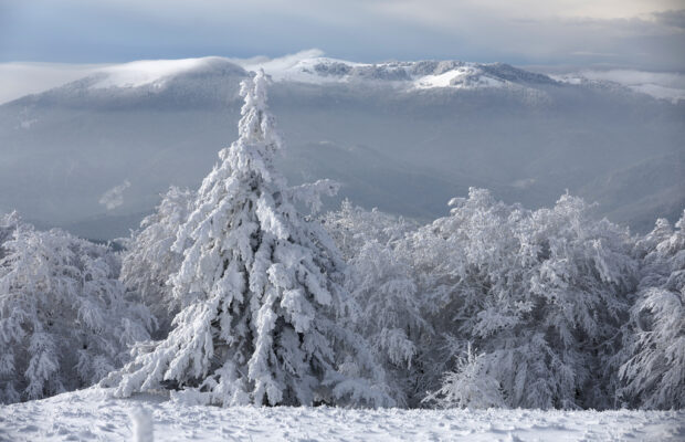 Challenges Hitting Harder In New Hampshire’s North Country.
