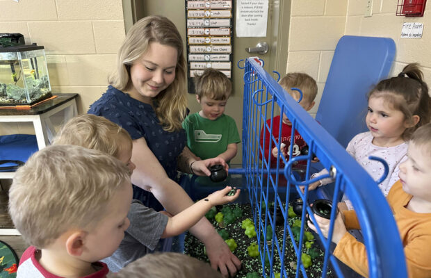 A better understanding of how vouchers impact Education Freedom Accounts. A better understanding of how vouchers impact Education Freedom Accounts.