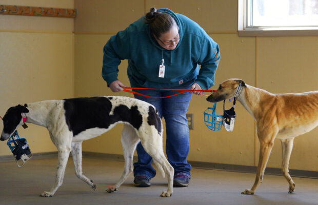 Fast Friends Yard and Bake Sale Fast Friends Yard and Bake Sale