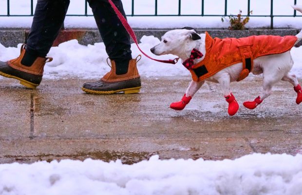 Jeff’s Morning Monologue – 021026: Voter Information, Abortion, NH Isn’t Minnesota (Thank God!)