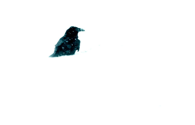 Jeff Chidester: Kristi Noem Firing, Gold Star Families, Rural Healthcare