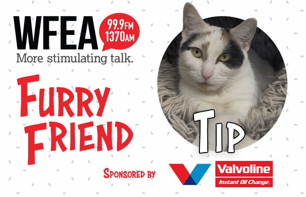 WFEA Furry Friend for April 24th: Tip