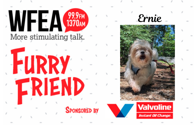 WFEA Furry Friend for July 15: Ernie