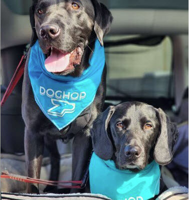 NH Business Magazine: Start Up Star: Dog Hop