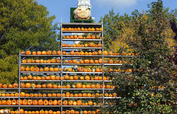 Lit Jack-O-Lanterns for as far as the eye can see – Kris Nielsen on what to do this weekend Lit Jack-O-Lanterns for as far as the eye can see – Kris Nielsen on what to do this weekend