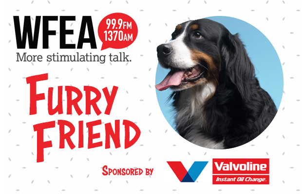 WFEA's Furry Friends
